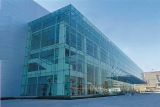 Commercial Building Tempered Spider Glass