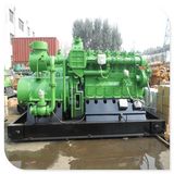 Green Power Electric Plant Manufacturer Cheap Big Biogas Plant Biogas Genset Price 350kw with Open Type