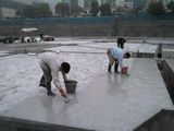 Single-Component Polyurethane Roof Waterproof Coating