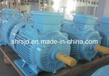 Y3 20hp Electric Motor (220/380V) (Y3 induction  motor)