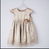 Baby Girl's Party Dress Satin Dress Champain Color with Golden Embrodiery on Organz (KD-99)