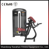 Commercial Fitness Equipment Machine / Biceps Curl