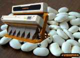 White Kidney Beans Color Sorter, Beans Processing and Cleaning Machinery