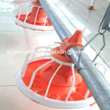 Poultry Feeding System for Chicken