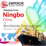 Sea Freight Shipping From Ningbo to Worldwide Destinations