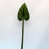 Artificial Leaves, Imitative Leaf (TC060034-LV0601)