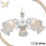 High Quality Chandelier for China Modern Lighting Fixture (MX9027)