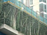 Safety Nets