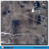 Natural High Polished Eramosa Marble (Newstar stone)