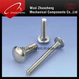 Stainless Steel Carriage Bolts