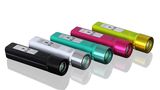 Little Torch & Emergency Charger