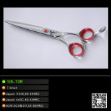 Excellent Qualityhairdressing Scissors (105-70R)