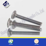 Carriage Bolt with Material Ss304