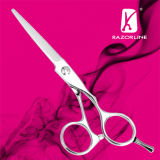 Professional Stainless Steel Hair Scissors (SK01)