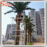 High Imitated Decoration Artificial Silver Date Palm Tree
