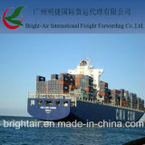 Efficient Sea Freight From China to La Paz, Bolivia