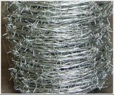 Hot Dipped Galvanized Barbed Wire