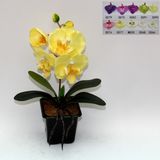 Artificial Potted Flower, Imitative Silk Orchid