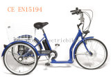 2014 New Model Single Speed Tricycle (SL-130)
