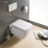 CE Concealed Cistern Wall Hung Toilets for Euro-Market (YB3379)