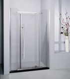 Pivot Shower Door (DF403A)