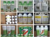 Herbicide Weedicide Mixture (compound) 2, 4-D Isooctyl Ester + Florasulam (452.42g/L+6.25g/L SE)