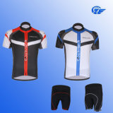 New Arrival! Cycling Apparel Cycling Jersey Bicycle Bike Wear Shirt and Bibs Shorts or Pants Size L/Xl/Xxl/3xl/4xl
