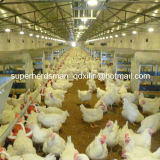 Full Set Poultry Control Shed Equipment for Chicken