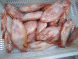 Frozen Red Tilapia Fish Gutted and Scaled 350/550g
