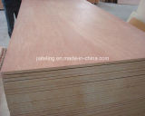 Eucalyptus Core Bb/Cc Grade Bintangor Plywood