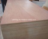 Eucalyptus Core Bb/Cc Grade Bintangor Plywood