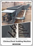 Poultry Equipments of Simple Chicken Scalding Machine