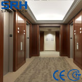 Chinese Elevator Supplier Machine Roomless Good Quality Elevator