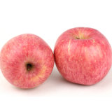 Fresh Red Sweet FUJI Apples