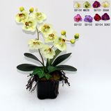 Artificial Potted Flower, Imitative Silk Orchid