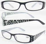 Eyeglasses Frame/Eyewear (RP486013)
