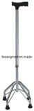 Walking Stick