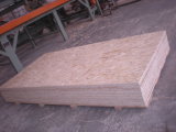 Hot Sell 8mm/9.5mm OSB Board /OSB Panel /Timber