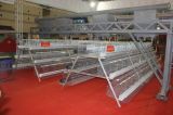 Chicken Laying Egg Cage for Africa/ Nigiera Farm (A3L90)