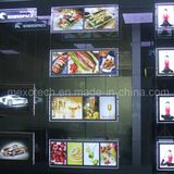 Window Display Acrylic Magnetic LED Backlit Super Slim Light Box