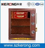 Bronze Steel Cheap Fashion Key Safe Box (KR-450T)