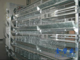 Battery Cage for Laying Hens, Hot Galvanized Wire Mesh, Hot Sale