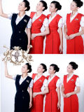 Airlines Uniform for Ladies in New Design