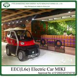 Electric Car Motor