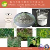 Good Quality Herbicide Prometryn (97%TC, 50%WP, 80%WP, 500g/lSC)