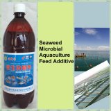. Algae Biobacteria Biopreparate Agent for Feed Additive
