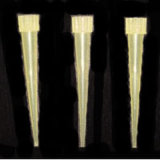 Pipette Tips (RK)