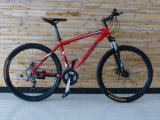 Mountain Bicycle with Disc Brake and 27 Speed and Fashion Design