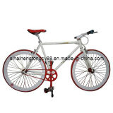 Racing Bicycle with Good Quality (RC-002)