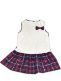 Children/Kid/Girl Woven Dress/Garment/Apparel (JDLN088)
